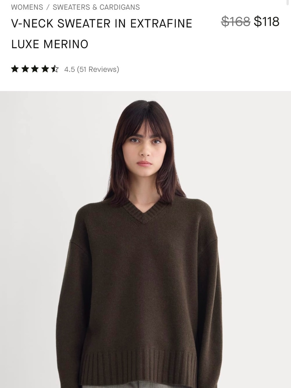 Everlane V-Neck Sweater in Extrafine Luxe Merino Wool - color Coffee Bean